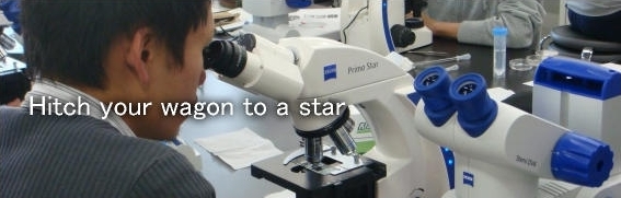 Hitch your wagon to a star