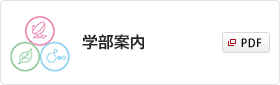 学部案内