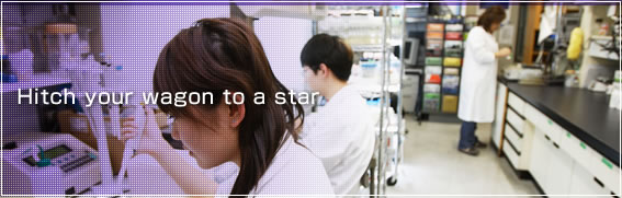 Hitch your wagon to a star