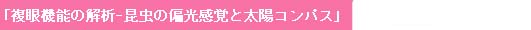 「複眼機能の解析-昆虫の偏光感覚と太陽コンパス」