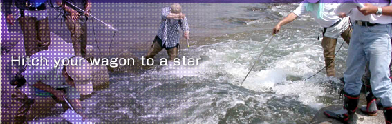 Hitch your wagon to a star