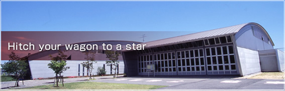 Hitch your wagon to a star