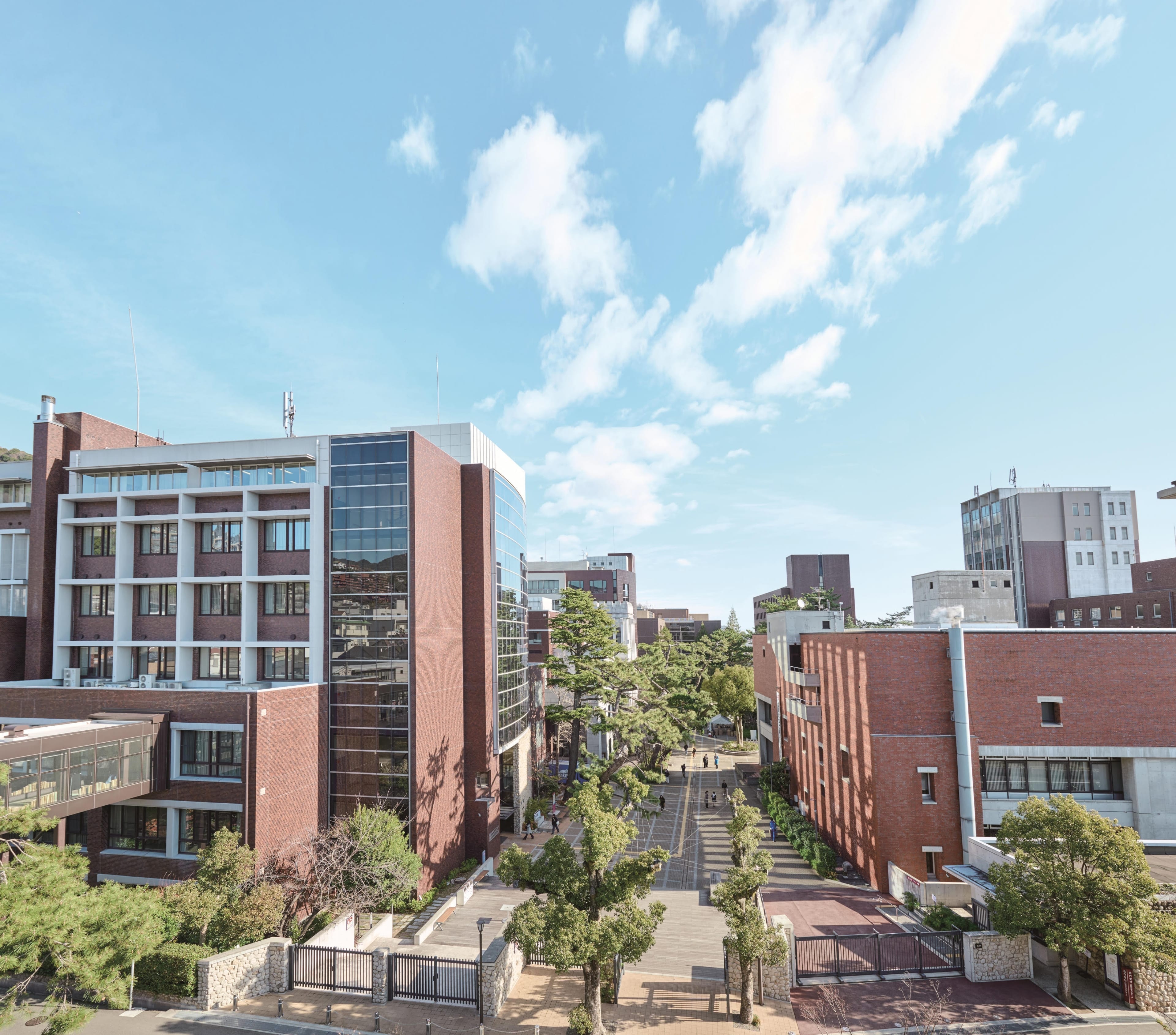 後者の背景画像