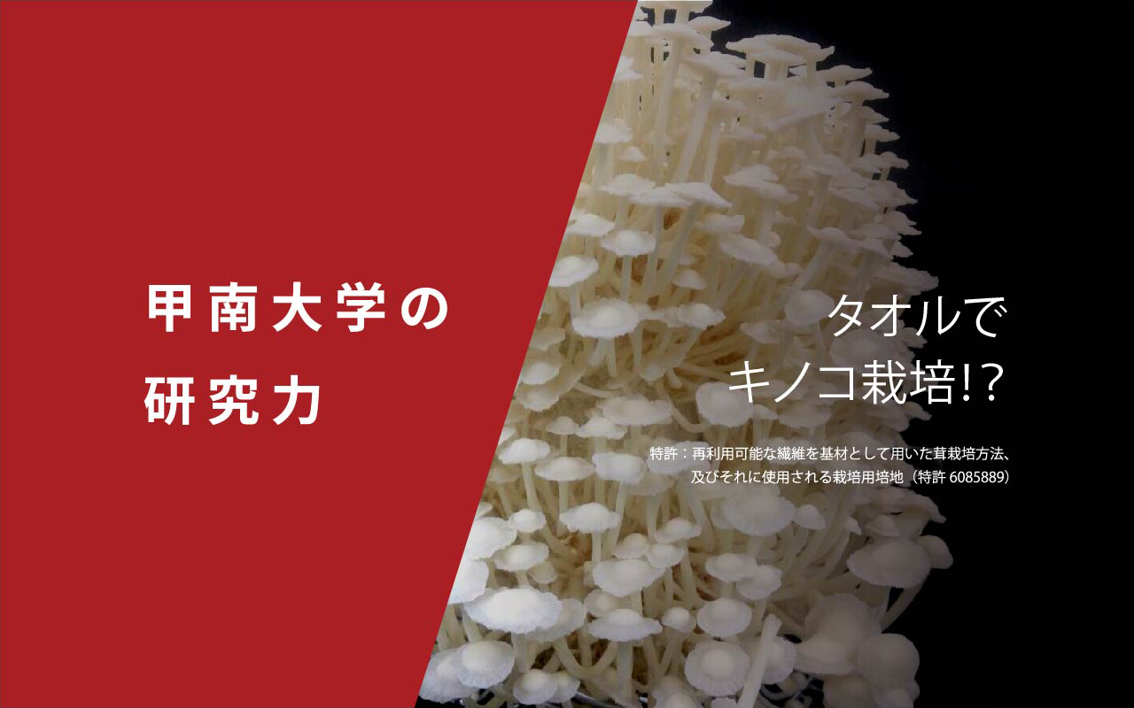 次世代のエコなキノコ栽培 甲南大学フロンティア研究推進機構