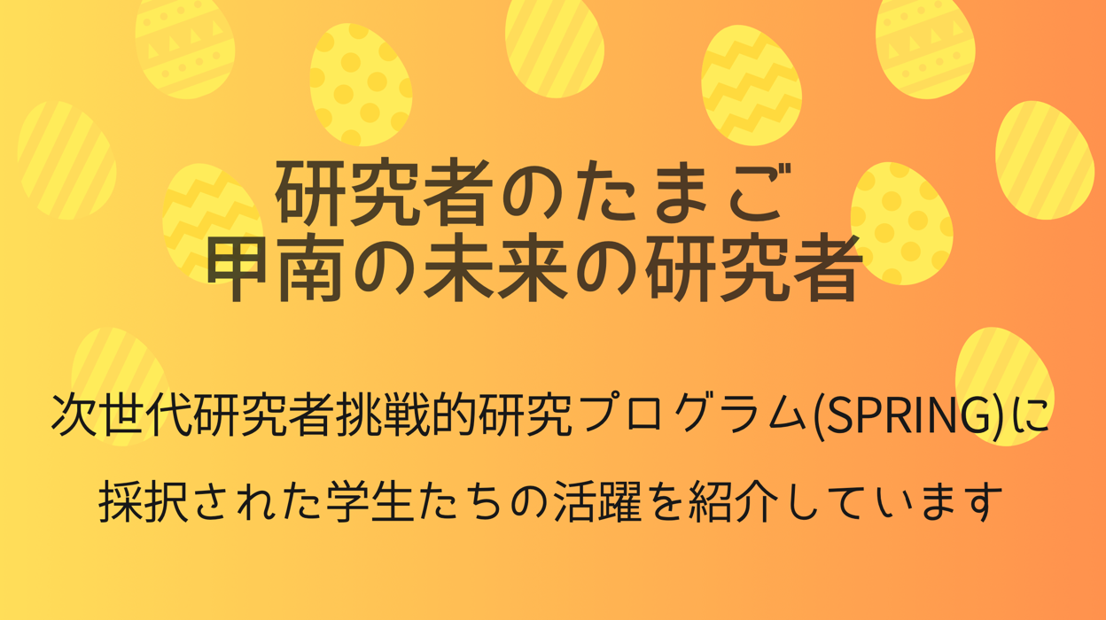 若手研究者向け支援