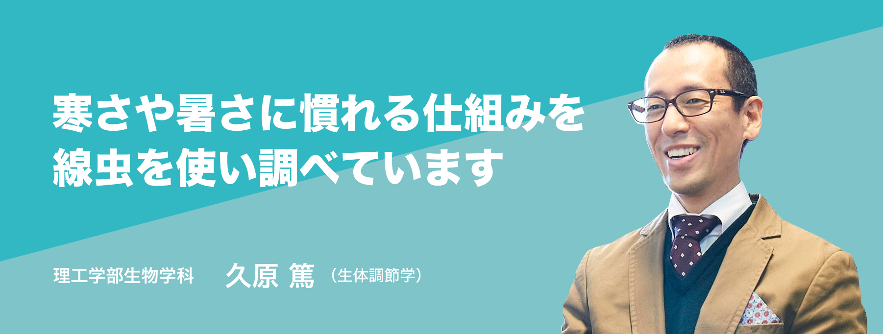 寒さや暑さに慣れる仕組みを線虫を使い調べています。理工学部生物学科 久原 篤 （生体調節学）