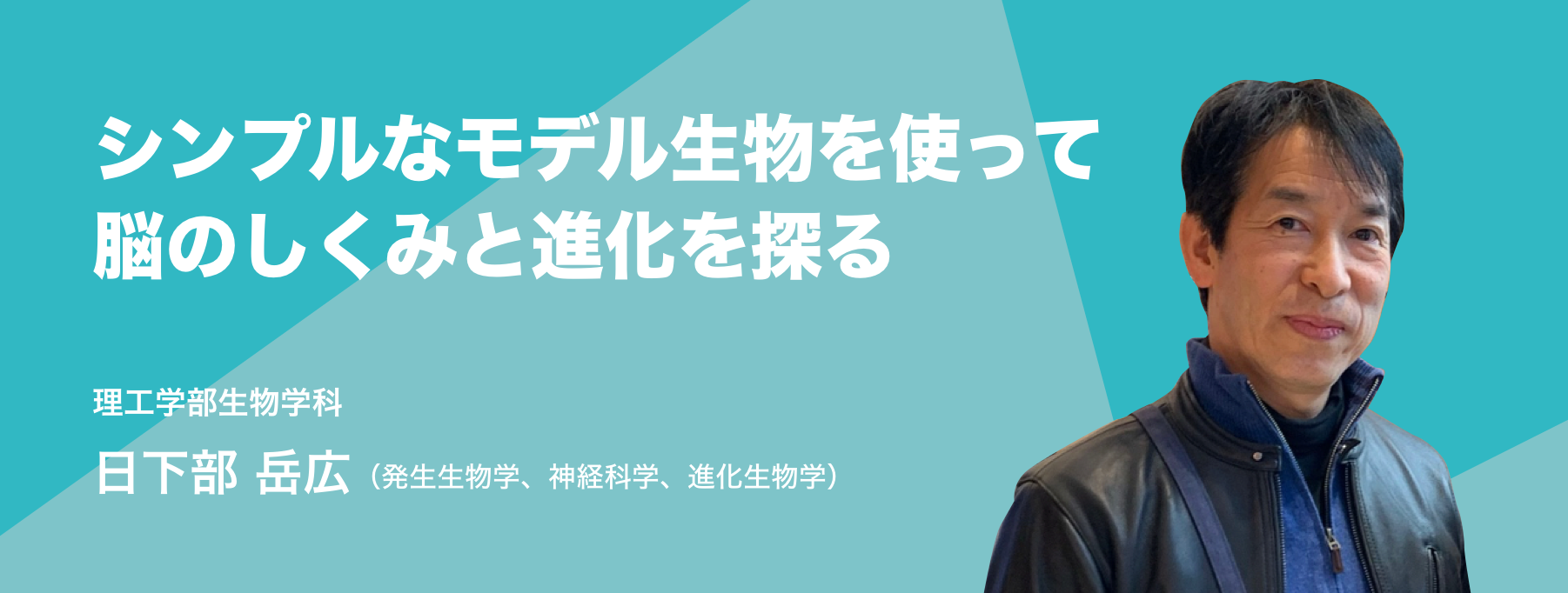 シンプルなモデル生物を使って脳のしくみと進化を探る。理工学部生物学科 日下部 岳広(発生生物学、神経科学、進化生物学)