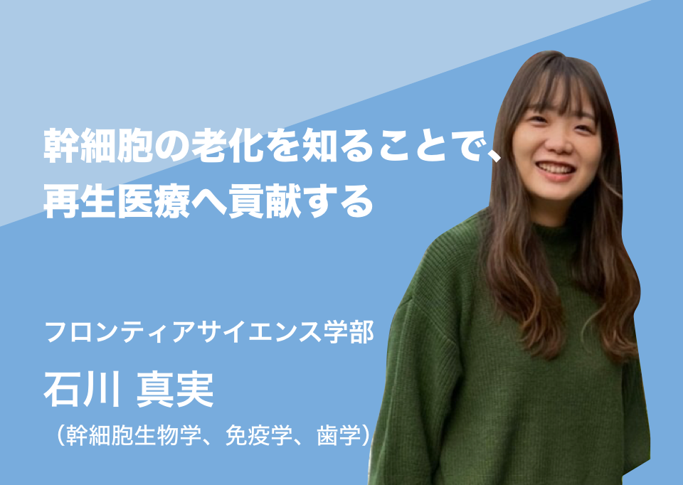 幹細胞の老化を知ることで、再生医療へ貢献する。フロンティアサイエンス学部 石川 真実（幹細胞生物学、免疫学、歯学）