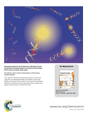 Site-Specific Control of Silica Mineralization on DNA Using a Designed Peptide