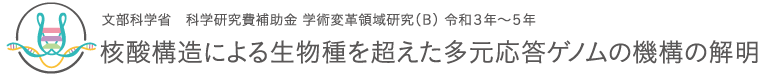 多元応答ゲノム：文部科学省　科学研究費補助金　学術変革領域研究（B）令和3年～5年