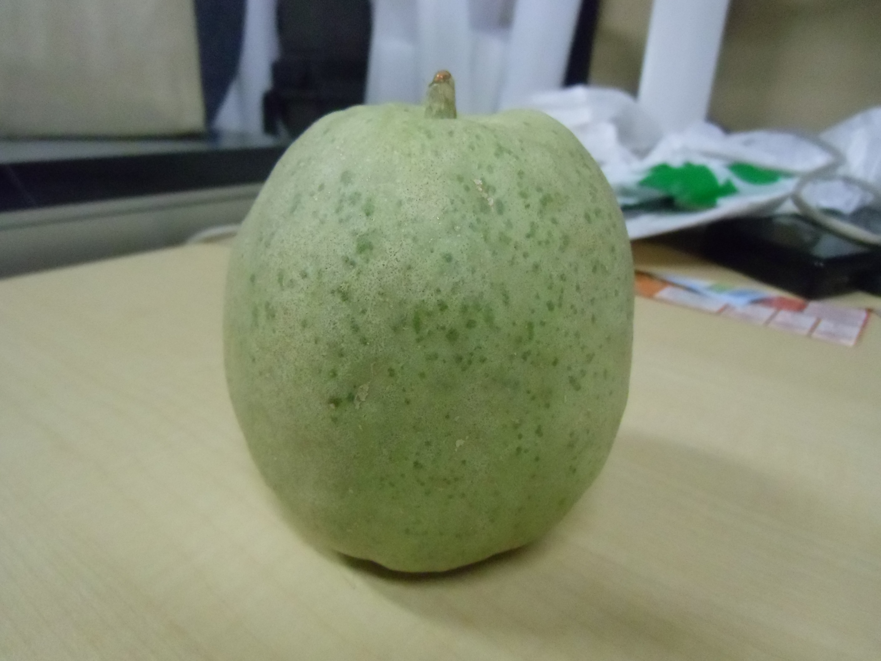 2013 melon1