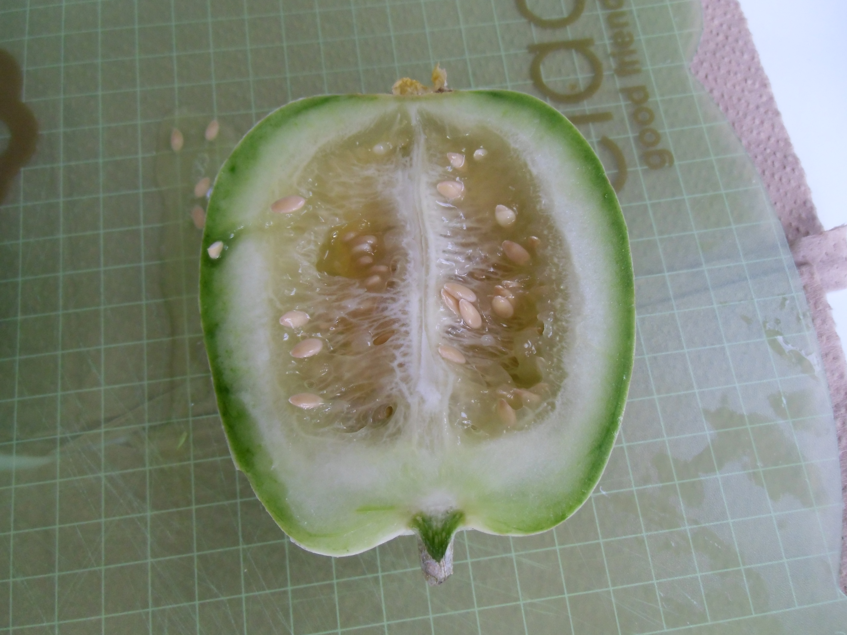 2013 melon2