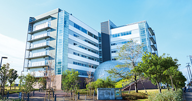 フロンティアサイエンス学部 学部 大学院 甲南大学 フロンティアサイエンス学部 学部 大学院 甲南大学
