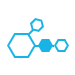 機能分子化学科