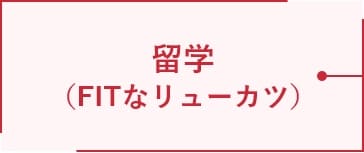 留学（FITなリューカツ）