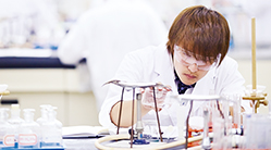 甲南大学の研究力