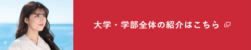 大学・学部全体の紹介はこちら