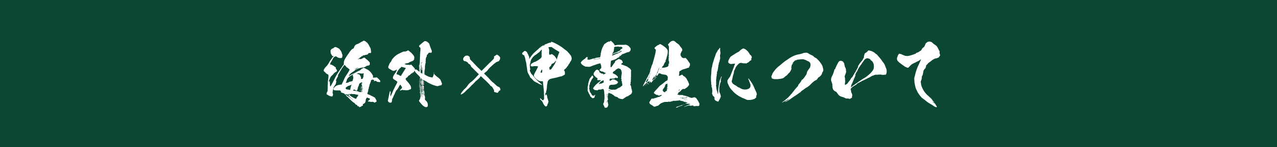 海外×甲南生について