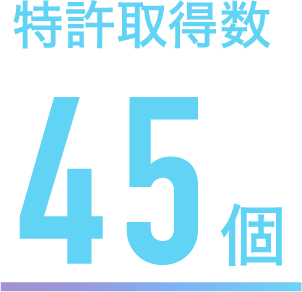 特許取得数 45個