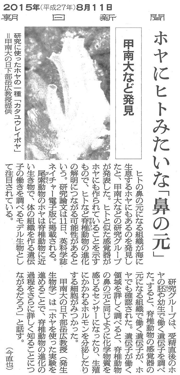 ホヤの生物学 - 東京大学出版会