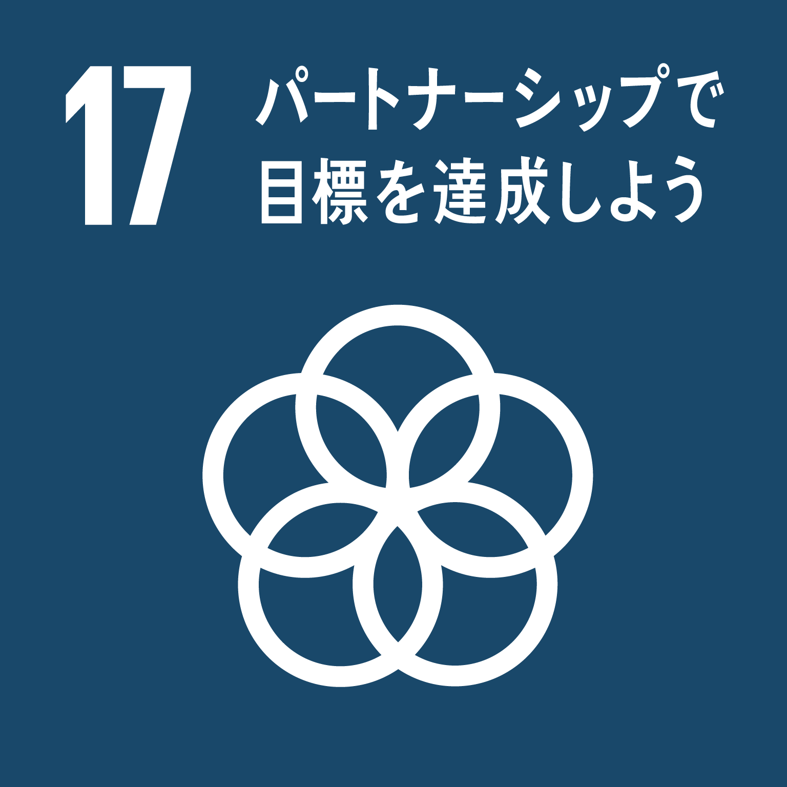 16 パートナーシップで目標を達成しよう